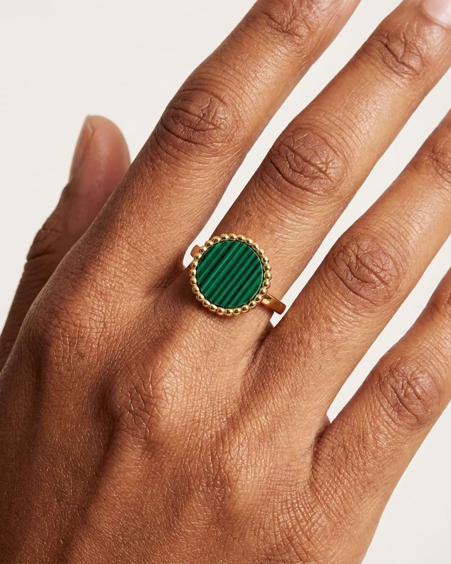 The Evergreen Holiday Gift Box